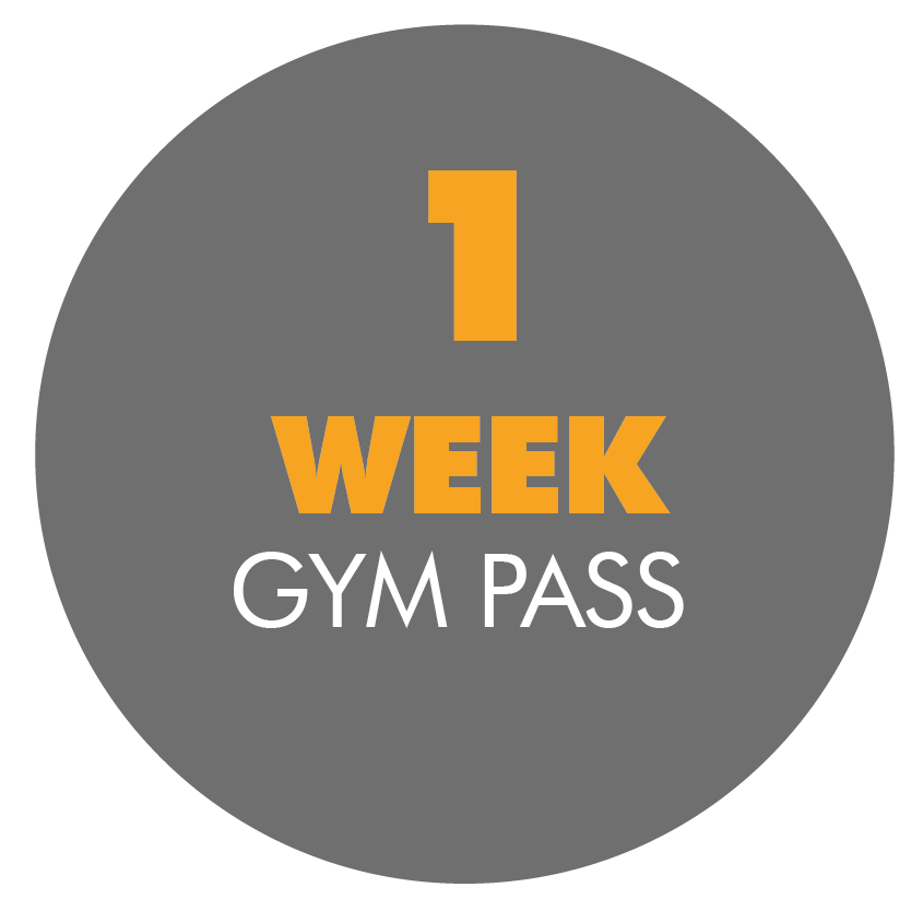 Gym Session x1 Peak Physique